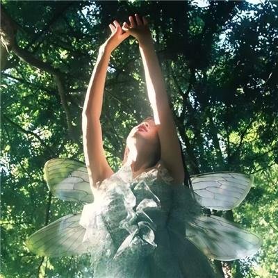 黑鹰坠落：死里逃生